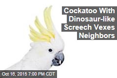 Cockatoo With Dinosaur-like Screech Vexes Neighbors