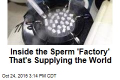 Inside the Sperm &#39;Factory&#39; That&#39;s Supplying the World