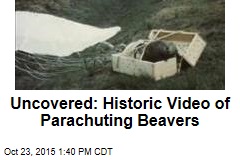 Uncovered: Historic Video of Parachuting Beavers