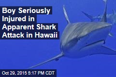 Boy Seriously Injured in Apparent Shark Attack in Hawaii