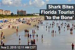 Shark Bites Fla. Tourist, Gets Punched