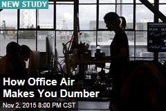 Typical Office Air Makes You Dumber