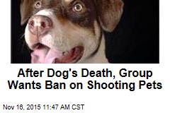 After Dog&#39;s Death, Group Wants Ban on Shooting Pets