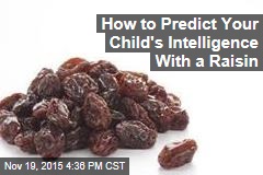 How to Predict Your Child&#39;s Future Intelligence With a Raisin