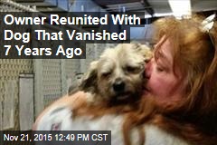 Owner Reunited With Dog That Vanished 7 Years Ago