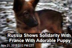 Russia Shows Solidarity With France With Adorable Puppy
