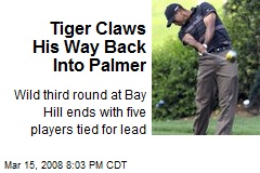 Tiger Claws His Way Back Into Palmer
