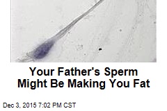 Your Father&#39;s Sperm Might Be Making You Fat
