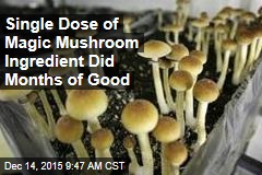 Single Dose of Magic Mushroom Ingredient Did Months of Good