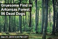 Lumber Workers Make Gruesome Discovery in Arkansas Forest