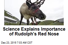 Science Explains Importance of Rudolph&#39;s Red Nose