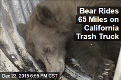 Bear Rides 65 Miles on California Trash Truck