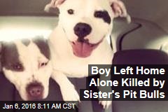 Boy Left Home Alone Killed by Sister&#39;s Pit Bulls