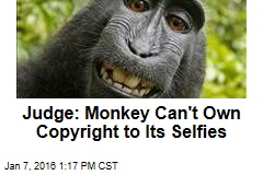 Judge: Monkey Can&#39;t Own Copyright to Its Selfies