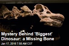 Mystery Behind &#39;Biggest&#39; Dinosaur: a Missing Bone