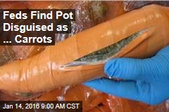 Feds Find Pot Disguised as ... Carrots