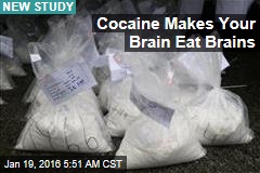 Cocaine Makes Your Brain Eat Brains