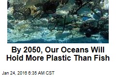 By 2050, Our Oceans Will Hold More Plastic Than Fish