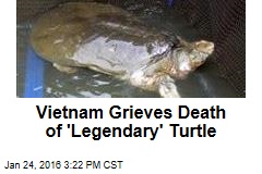 Vietnam Anxious Over Death of &#39;Legendary&#39; Turtle