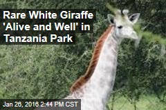 Rare White Giraffe &#39;Alive and Well&#39; in Tanzania Park