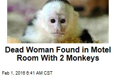 Dead Woman Found in Motel Room With 2 Monkeys