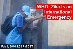WHO: Zika Is an International Emergency