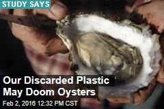 Our Discarded Plastic May Doom Oysters
