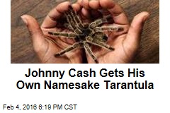 Johnny Cash Gets His Own Namesake Tarantula