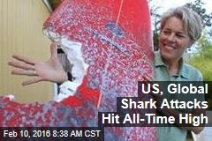 US, Global Shark Attacks Hit All-Time High