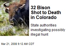 32 Bison Shot to Death in Colorado