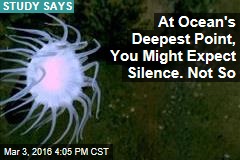 At Ocean&#39;s Deepest Point, You Might Expect Silence. Not So