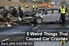 5 Weird Things That Caused Car Crashes