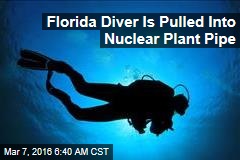 Florida Diver Is Pulled Into Nuclear Plant Pipe