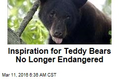 Inspiration for Teddy Bears No Longer Endangered