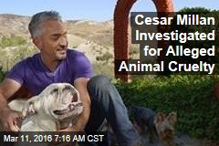 Cesar Millan Investigated for Alleged Animal Cruelty
