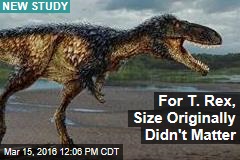 For T. Rex, Size Originally Didn&#39;t Matter