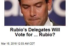 Rubio&#39;s Delegates Will Vote for ... Rubio?