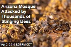 Arizona Mosque Attacked by Thousands of Stinging Bees