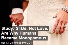 Study: STDs, Not Love, Are Why Humans Became Monogamous