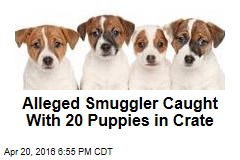 Alleged Smuggler Caught With 20 Puppies in Crate