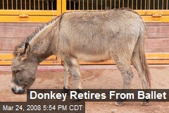 Donkey Retires From Ballet