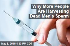 Why More People Are Harvesting Dead Men&#39;s Sperm