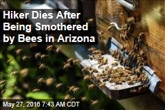 Hiker Dies After Being Smothered by Bees in Arizona