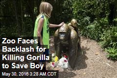 Zoo Faces Backlash for Killing Gorilla to Save Boy