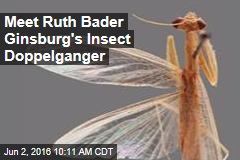Meet Ruth Bader Ginsburg&#39;s Insect Doppelganger