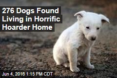 276 Dogs Found Living in Horrific Hoarder Home