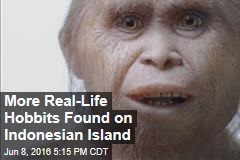 More Real-Life Hobbits Found on Indonesian Island