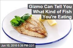 Gizmo Can Tell You What Kind of Fish You&#39;re Eating