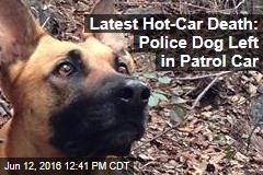 Latest Hot-Car Death: Police Dog Left in Patrol Car