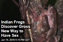 Indian Frogs Discover Gross New Way to Have Sex